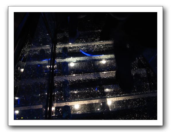 Glass stairs in the Crypt