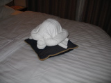 Towel turtle